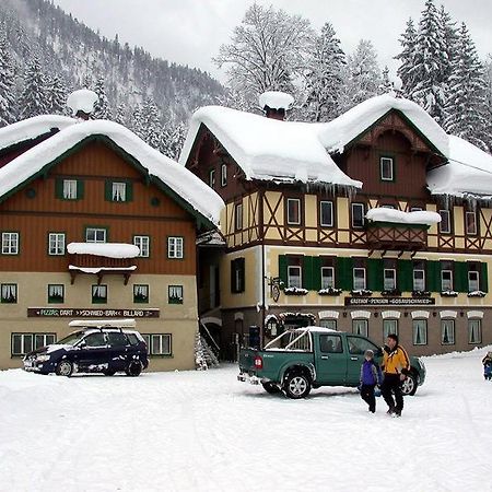 Jugendgaestehaus Gosauschmied Экстерьер фото