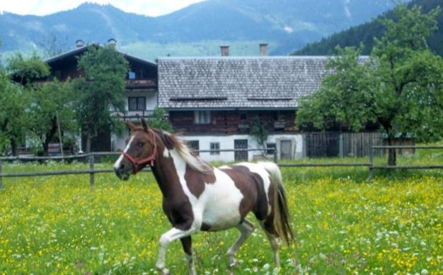 Jugendgaestehaus Gosauschmied Экстерьер фото
